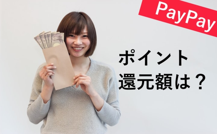 Paypayペイペイが使える家電量販店は お得なキャンペーンとポイント 家電の虎